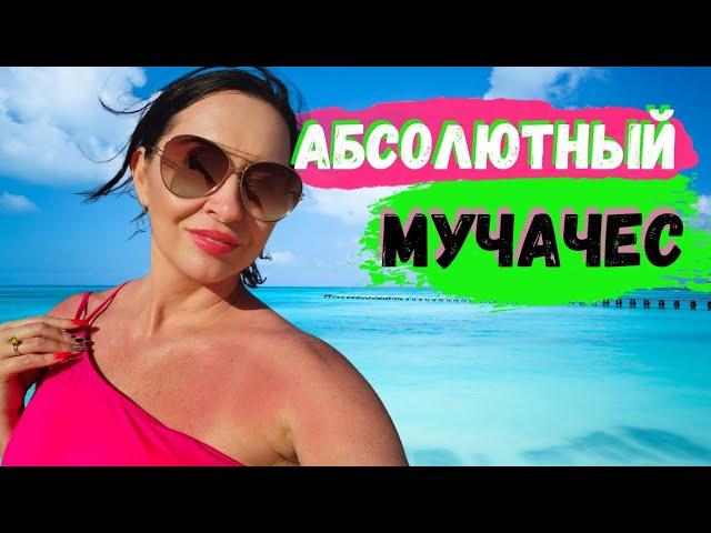 Развод на деньги. Отдых в Мексике. Свадьба | Iren Sigal #мексика #путешествия