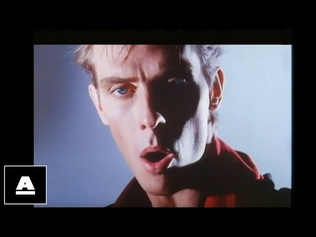 Peter Murphy - Final Solution HD