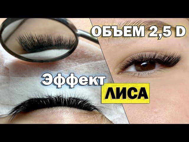 ОБЪЕМНОЕ НАРАЩИВАНИЕ РЕСНИЦ 2,5D в лисьем эффекте (Изгиб L). Все этапы построения схемы