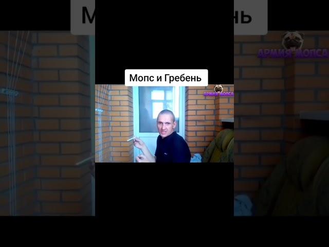 мопс дядя пёс гребень