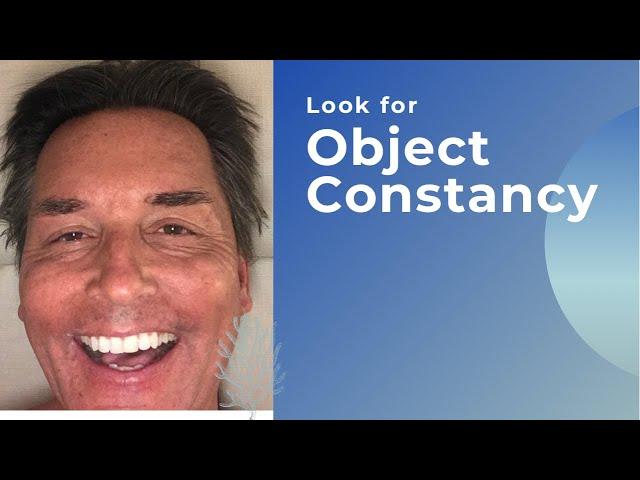 What is Object Constancy?