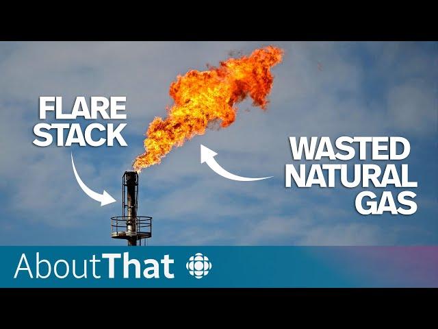 Why Alberta oil industry 'flaring' is at all-time highs | About That