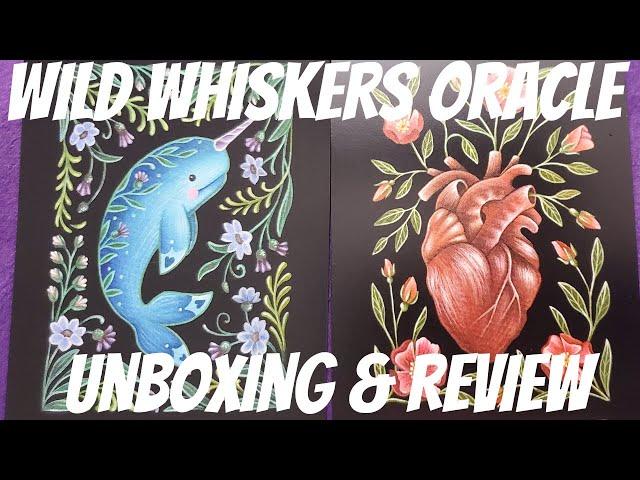 Wild Whiskers Animal Spirit Oracle Deck - Unboxing and Review