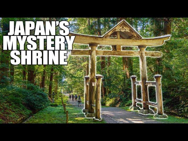 Exploring Japan's MYSTICAL MOSS Shrine