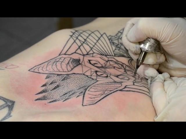 Сергей Некрасов (Linework) 5 часов