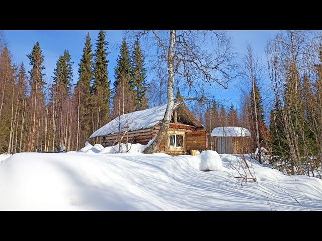 ГЛУХАРЬ НА УЖИН ПО ПРОСТОМУ / РАССКАЗ ОБ ОХОТЕ НА ЛОСЯ. НОЧЁВКА В ЛЕСНОЙ ИЗБУШКЕ-ЭТО РОМАНТИКА.