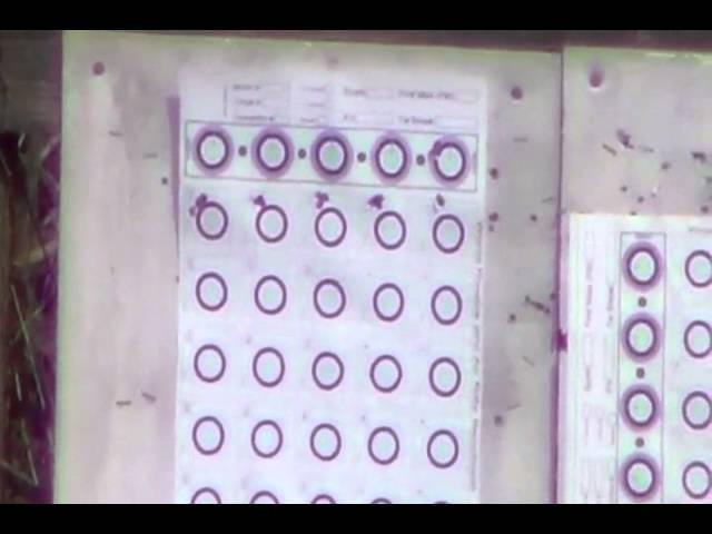 6ppc 8208 powder test