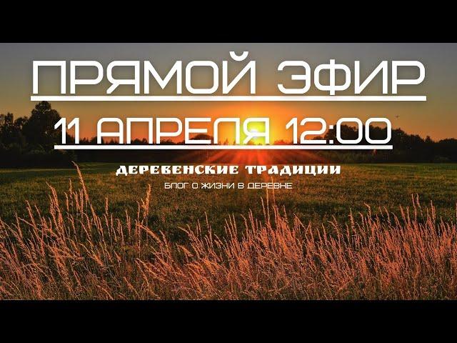 Первый стрим Канала "Деревенские Традиции". Ответы на вопросы и шашлычки:)