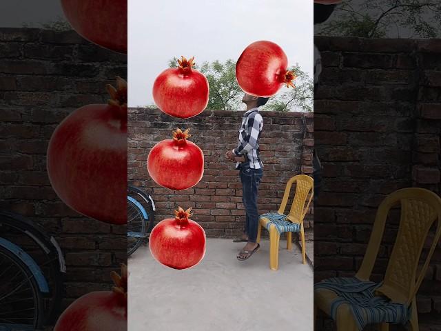 Rounding pomegranates Cow, Buffalo, Goat & Lion - Animals names magic video