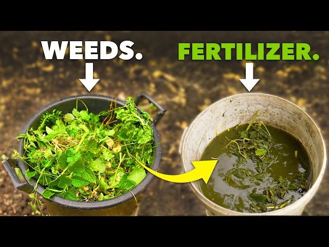 Better than Miracle Gro: Make Fertilizer from Weeds