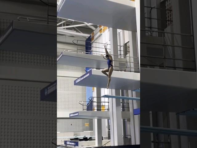 305b 3m 60 point Aranza Vazquez Montano NCAA 2023 diving final #womensdiving #sports