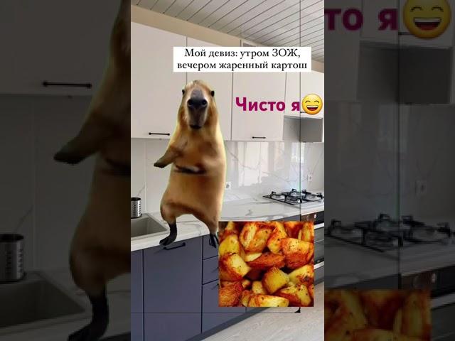 #диета