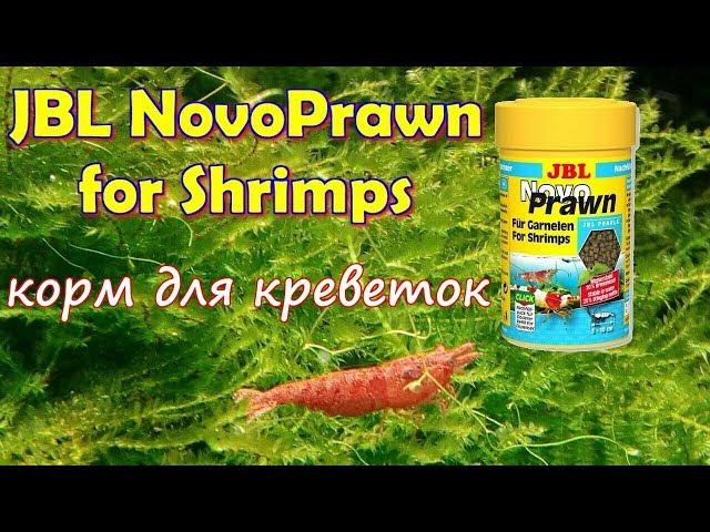 JBL GmbH & Co  KG NovoPrawn for Shrimps Креветки Вишни пробуют корм