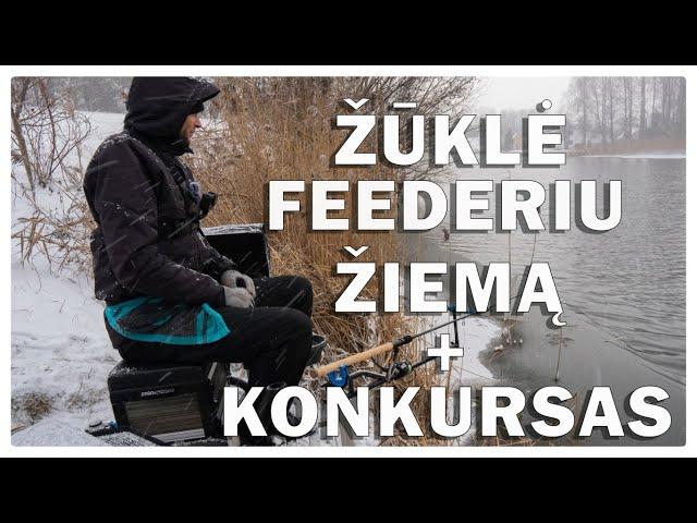 Žvejyba Feederiu Šešupėje Žiemą +Konkursas | Fishinginside TV #1