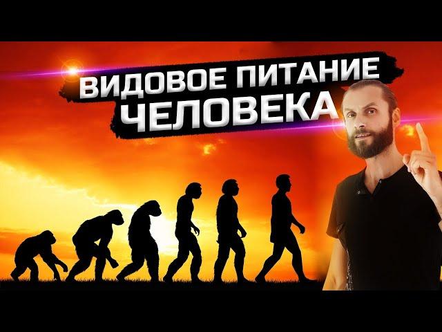 Человек - это хищник или травоядное?