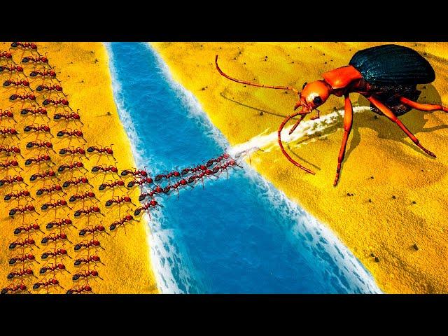 NEW Fire Ants vs Bombardier Beetle in Empires of the Undergrowth Update - Fire Ant Bridge Battle!