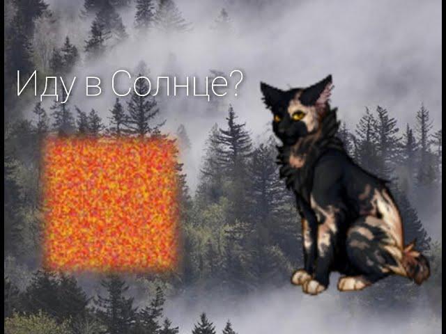 Иду в Солнце? Или же нет?/CatWar