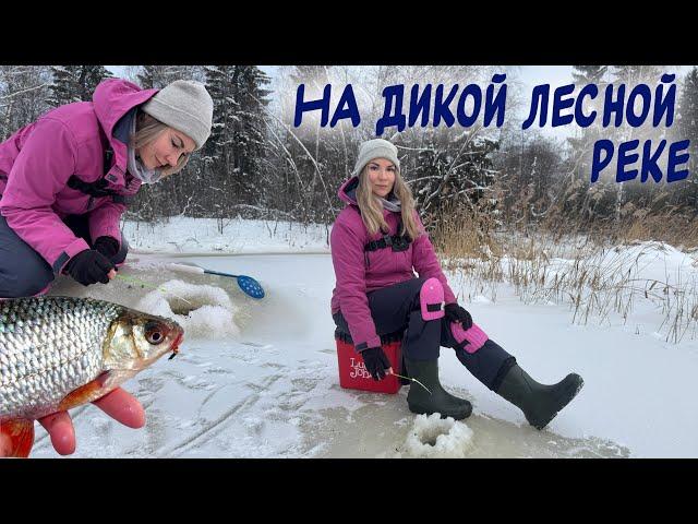 ПЕРВЫЙ ЛЕД 2024-2025! Ловлю на мормышку на дикой реке в лесу!