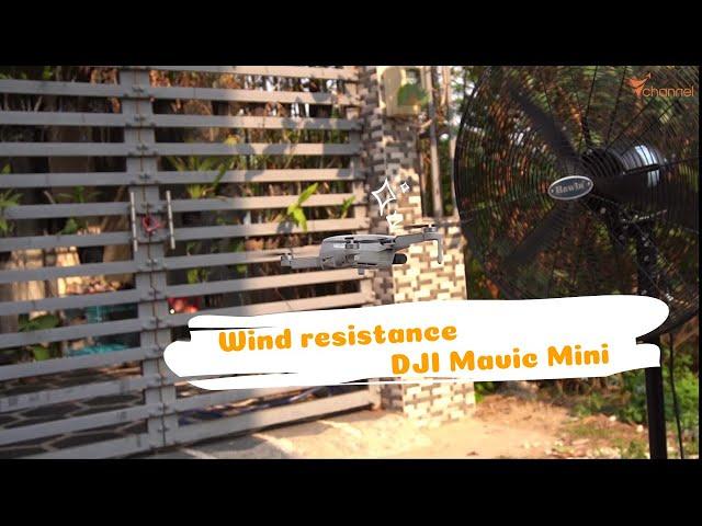  Test the wind resistance ability of DJI  Mavic Mini in-depth detail