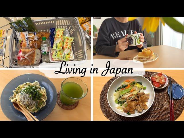 housewife living in japan | grocery shopping and make simple meals