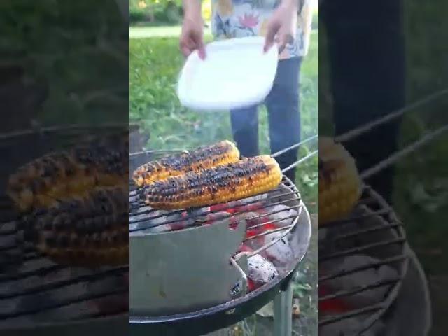 Barbecue at a lake in Germany 