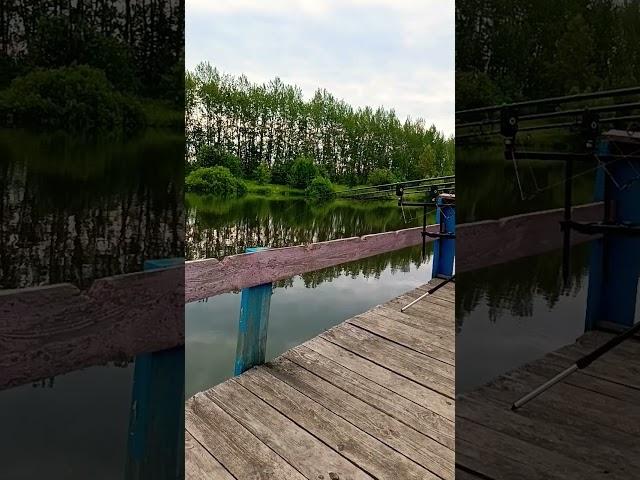 #рыбалка #ловим #fishing #carpfishing