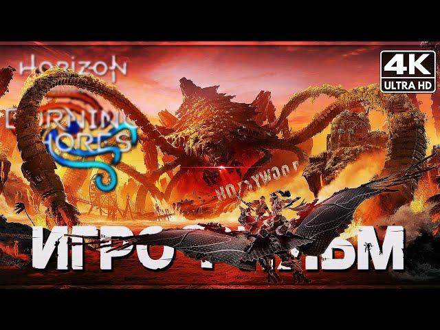 ИГРОФИЛЬМ | HORIZON FORBIDDEN WEST: BURNING SHORES ПРОХОЖДЕНИЕ [4K PS5]  Хорайзен Пылающие Берега