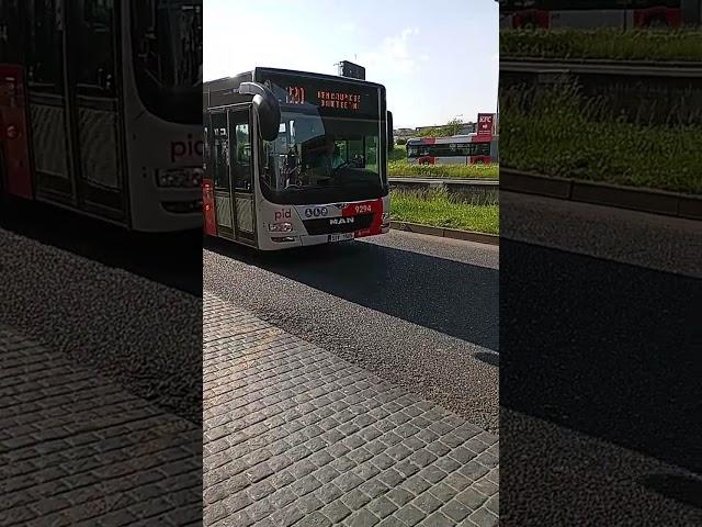 Man LIONS CITY LINKA 220