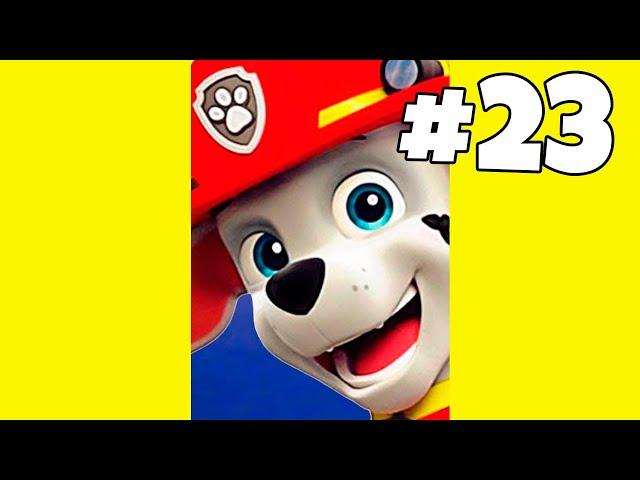 Preview 23 episode Marshall  Paw Patrol Mission Paw  Mighty Pups Ultimate Rescue Team  minimaxtv