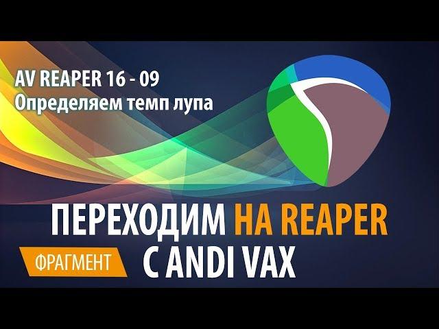 AV REAPER 16 - 09 Определяем темп лупа