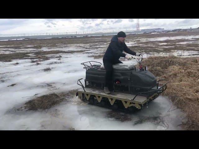 КАК ПОКАЖЕТ СЕБЯ МАЛАМУТ НА ЛЬДУ