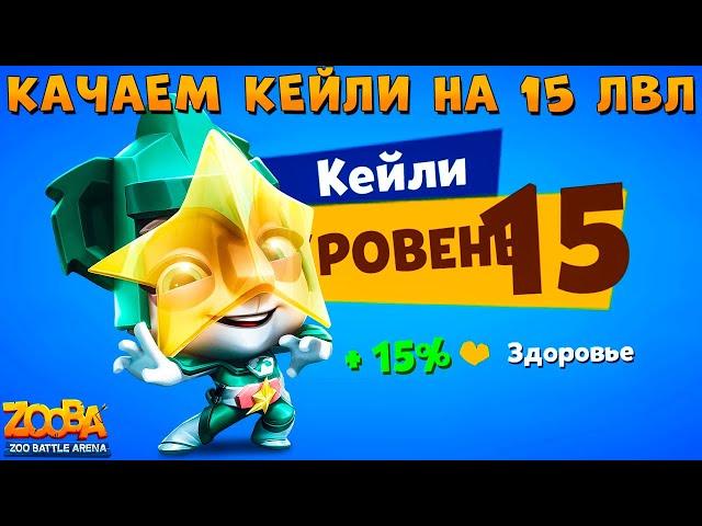 КАЧАЕМ КОАЛУ КЕЙЛИ НА 15 УРОВЕНЬ В ИГРЕ ZOOBA