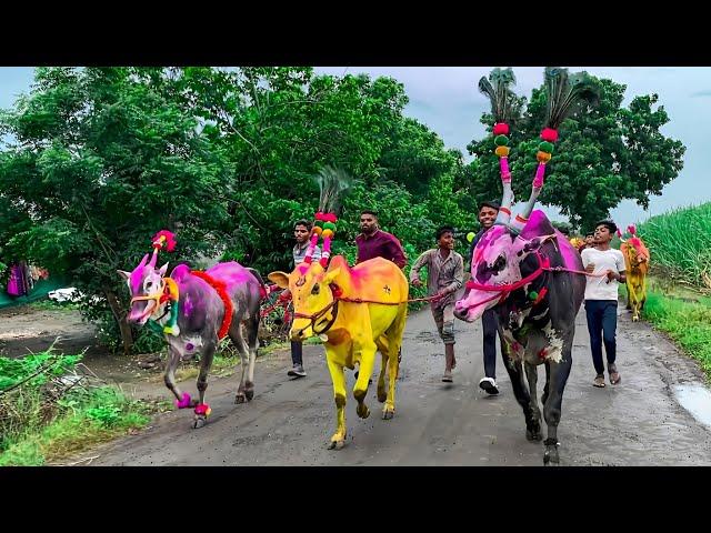 | बैल पोळा सजावट 2024 | | बैलांची सजावट | | Bail Pola Best Video |