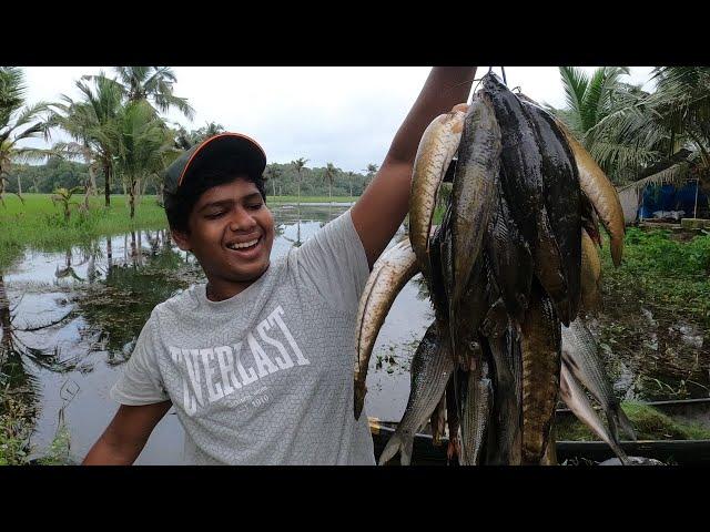 മല വെള്ളത്തിൽ വീണ്ടും മീൻ ചാകര....| Kerala Monsoon Fishing | Kerala Village Fishing | Traditional...