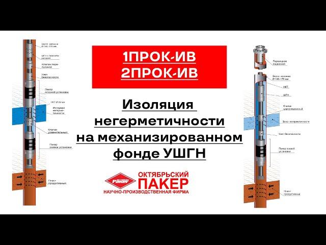Изоляция негерметичности на механизированном фонде УШГН — 1ПРОК-ИВ, 2ПРОК-ИВ