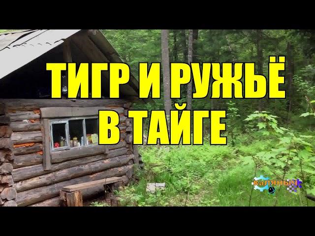 АТАКА ТИГРА | ОХОТНИК | ЖИЗНЬ В ТАЙГЕ