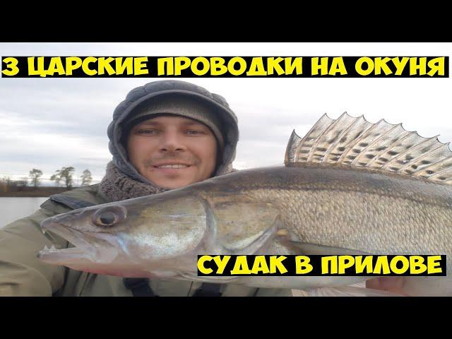 ЖОР окуня!  Рыбалка на судака и окуня спиннингом с лодки!  Царские проводки на окуня для начинающих.