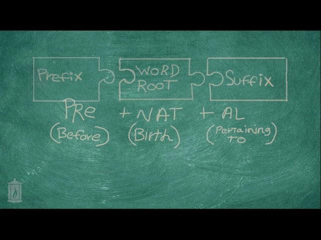 Medical Terminology Intoduction (1)