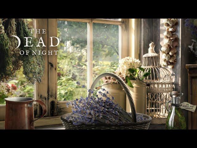 Cottagecore Witch Ambience  | Spring/Summer Witch Cottage | Rustic Living Ambience & ASMR