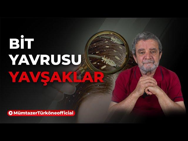 "Bitler" ve "Yavşaklar" | Prof. Dr. Mümtaz’er Türköne