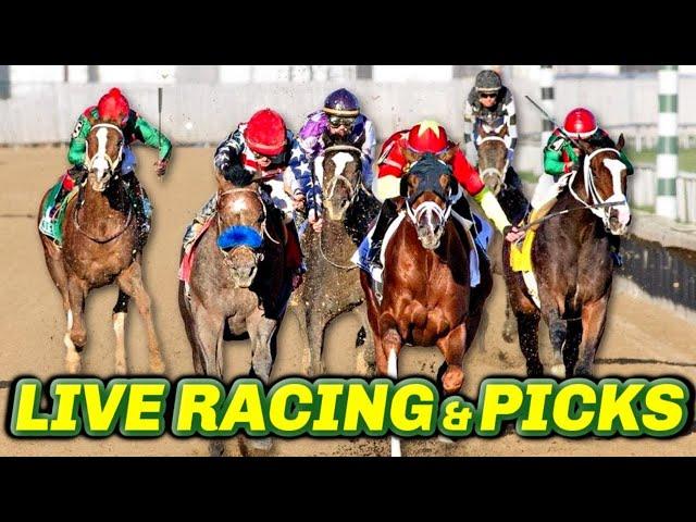 Hawthorne Picks & Live Horse Racing Stream | Racing Dudes LIVE