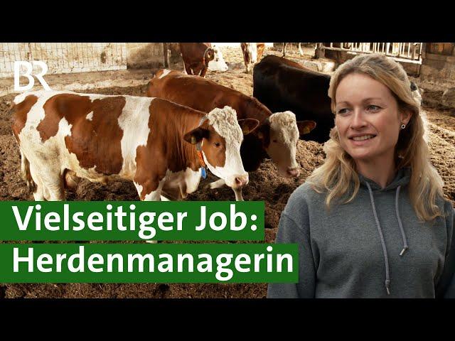 Rinderherde managen auf großem Betrieb: Von Klauenpflege bis Kälber enthornen | Unser Land | BR