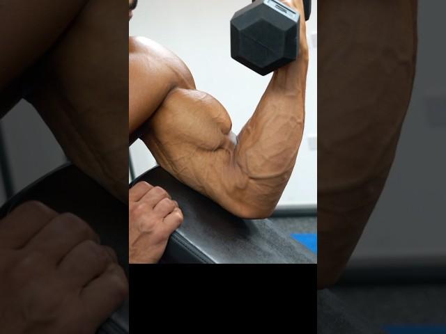 How to create your best ever Concentration Curl. #biceps #bicepsworkout