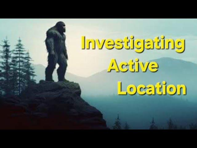 Investigating Active Location