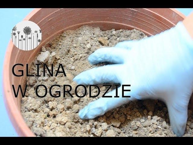 Co zrobić z gliną w ogrodzie? Ziemia gliniasta, glina w ogrodzie.