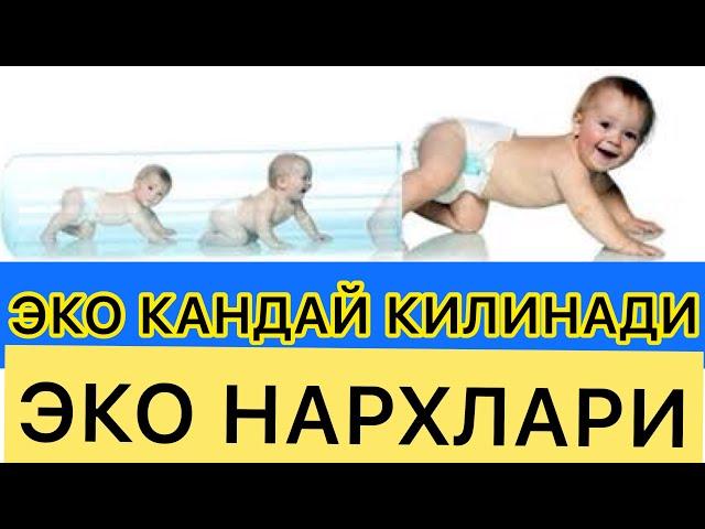 ЭКО КАНДАЙ КИЛИНАДИ