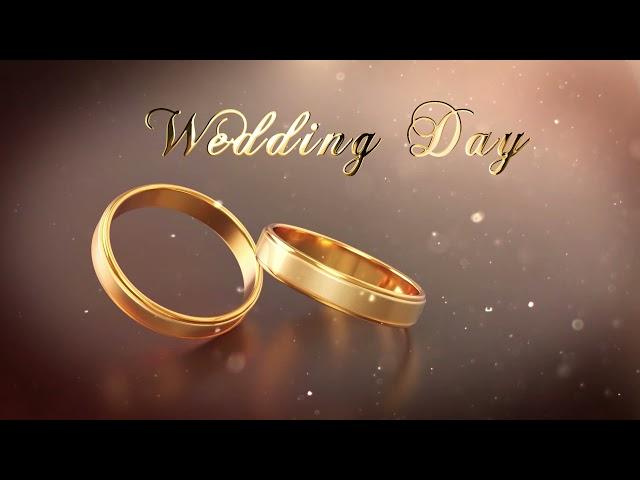 1.28 Свадебные Футажи. Wedding Day ( Золотые Кольца )