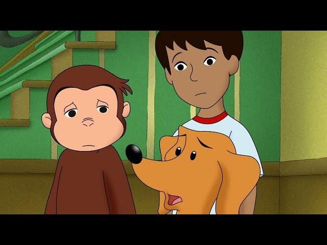 Curious George  Big, Bad Hundley Kids CartoonKids MoviesVideos for Kids