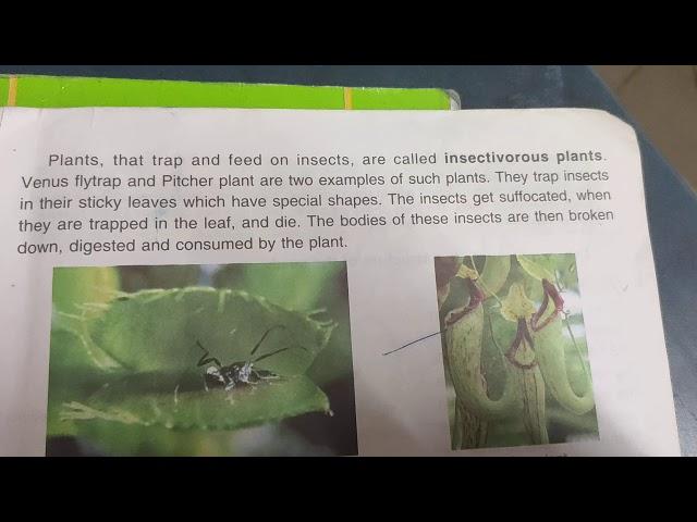 Plants