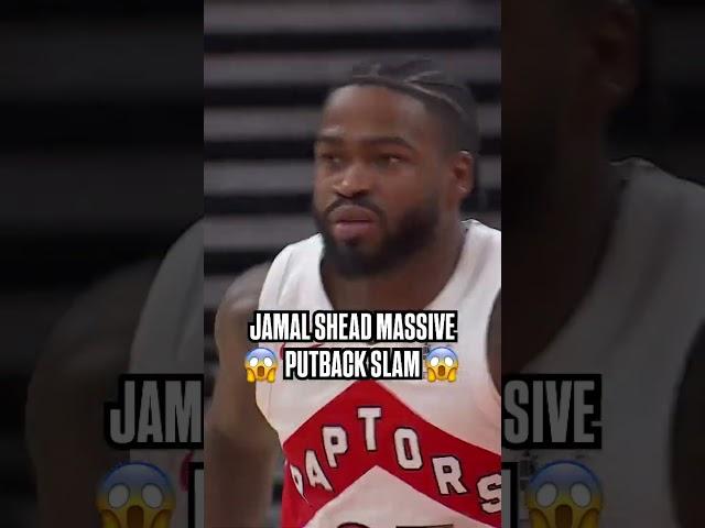 JAMAL SHEAD MASSIVE PUTBACK SLAM  #jamalshead #raptors #nba